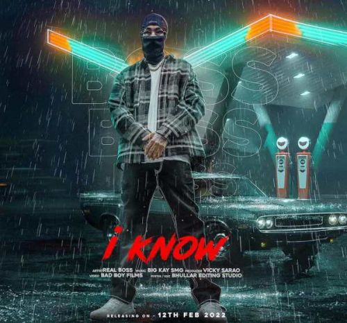 I Know Real Boss Mp3 Song Free Download