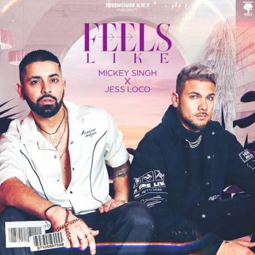 Feels Like Mickey Singh Mp3 Song Free Download