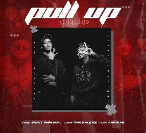 Pull Up Savvy Dhaliwal Mp3 Song Free Download