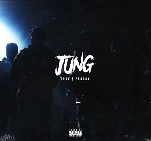 Jung SHXV Mp3 Song Free Download