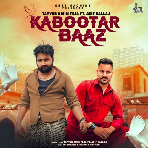 Kabootar Baaz Tayyab Amin Teja Mp3 Song Free Download