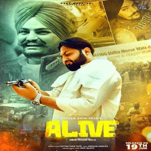 ALive Tayyab Amin Teja Mp3 Song Free Download