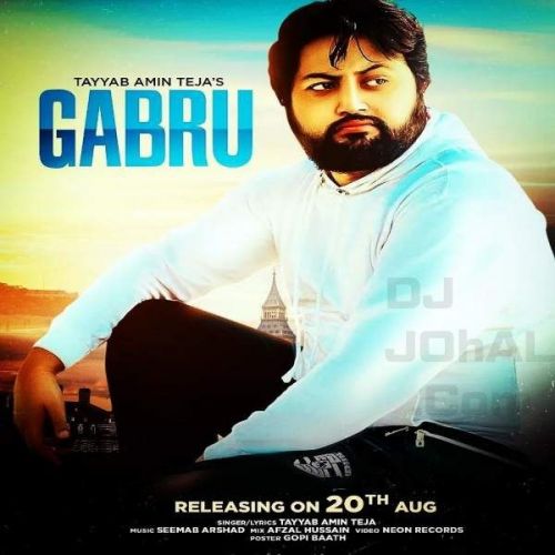 Gabru Tayyab Amin Teja Mp3 Song Free Download