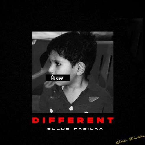 Different Ellde Fazilka Mp3 Song Free Download