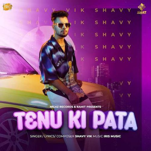 Tenu Ki Pata Shavy Vik Mp3 Song Free Download