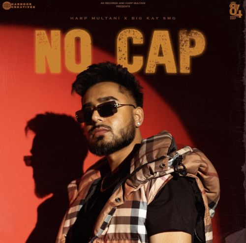 No Cap Harp Multani Mp3 Song Free Download