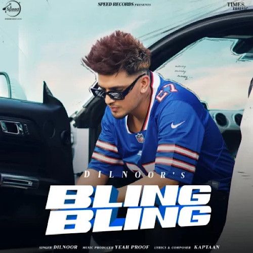 Bling Bling Dilnoor Mp3 Song Free Download