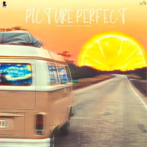 Picture Perfect Navaan Sandhu Mp3 Song Free Download