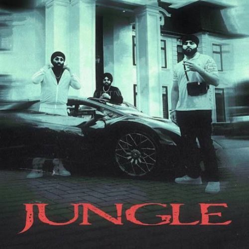 Jungle Inderpal Moga, Chani Nattan Mp3 Song Free Download