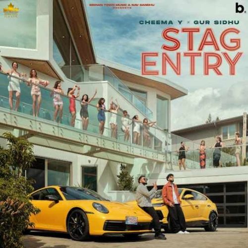 Stag Entry Cheema Y Mp3 Song Free Download