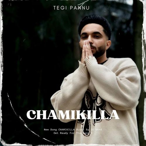 Chamikilla Tegi Pannu Mp3 Song Free Download