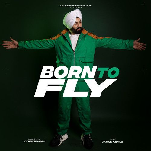 Born To Fly Sukshinder Shinda Mp3 Song Free Download