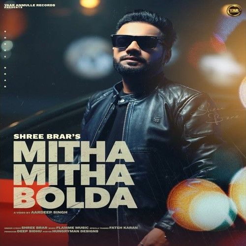 Mitha Mitha Bolda Shree Brar Mp3 Song Free Download