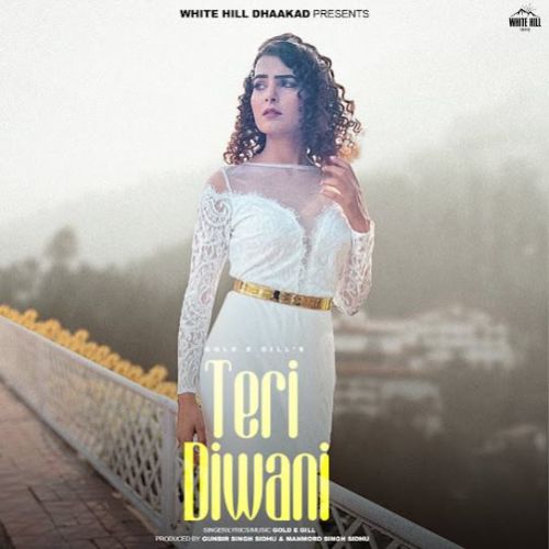 Teri Diwani Gold E Gill Mp3 Song Free Download