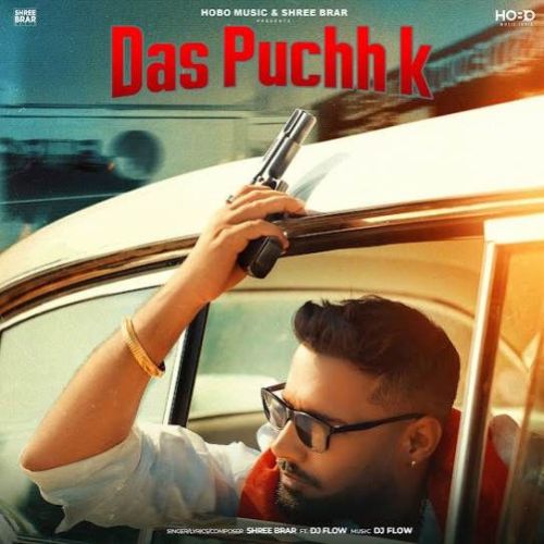 Das Puchh K Shree Brar Mp3 Song Free Download