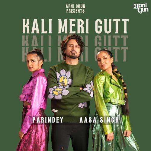 Kali Meri Gutt Parindey, Aasa Singh Mp3 Song Free Download