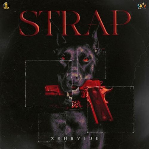 STRAP Zehr Vibe Mp3 Song Free Download