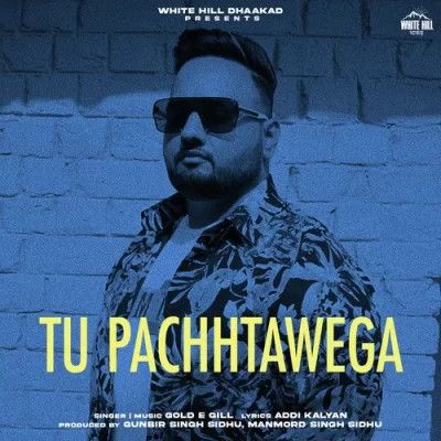 Tu Pachhtawega Gold E Gill Mp3 Song Free Download