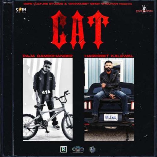 CAT Raja Gamechangerz Mp3 Song Free Download