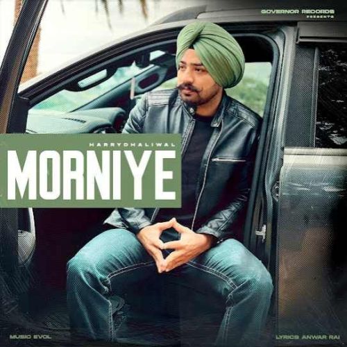 Morniye Harry Dhaliwal Mp3 Song Free Download