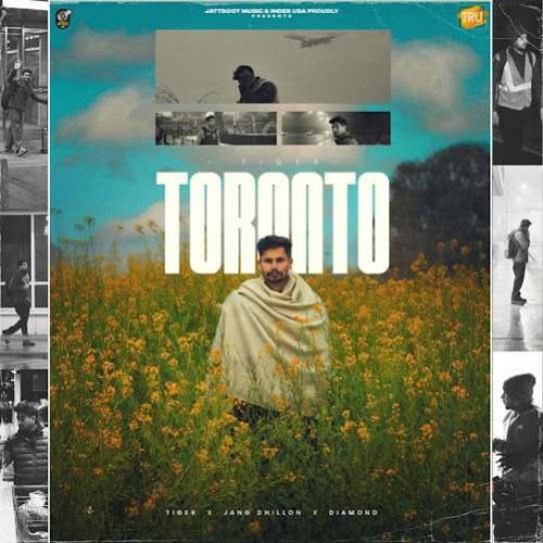 Toronto Tiger Mp3 Song Free Download