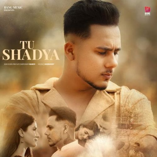 Tu Shadya Harvi Mp3 Song Free Download