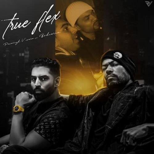 True Flex Parmish Verma Mp3 Song Free Download