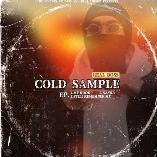 COLD SAMPLE Real Boss full album mp3 songs download
