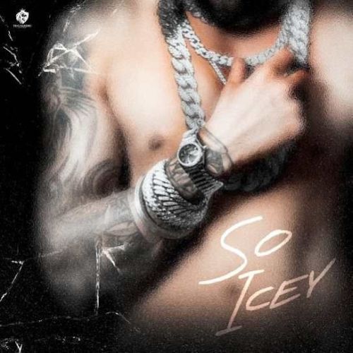 SO ICEY Te-G Sandhu Mp3 Song Free Download