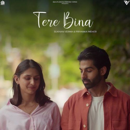 Tere Bina Sukhan Verma Mp3 Song Free Download