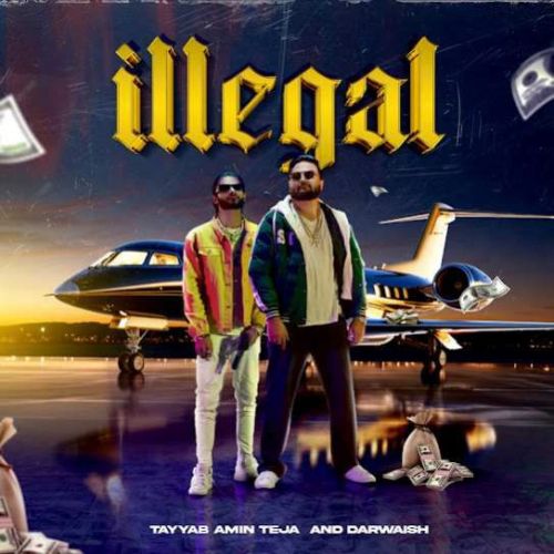 Illegal Tayyab Amin Teja Mp3 Song Free Download