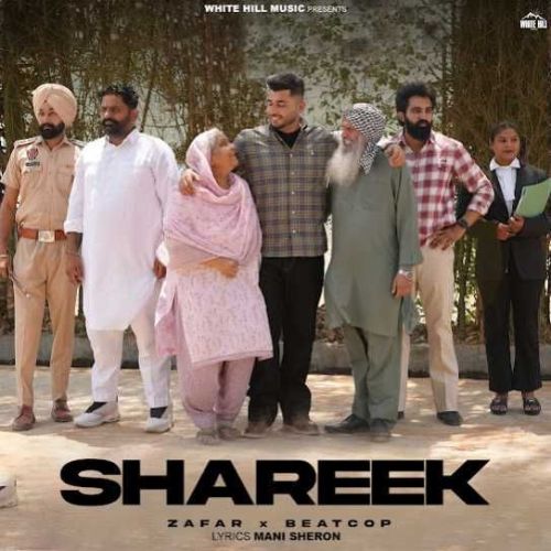 Shareek Zafar Mp3 Song Free Download