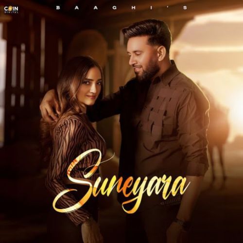 Shop Suneyare Di Baaghi Mp3 Song Free Download