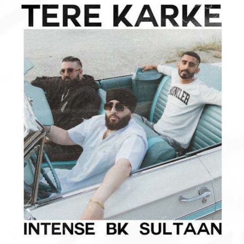 Tere Karke BK, Sultaan Mp3 Song Free Download