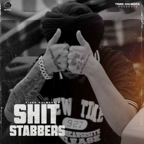 Shit Stabbers Tiger Halwara Mp3 Song Free Download