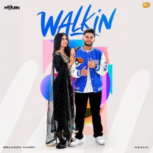 Walkin Brandon Harry Mp3 Song Free Download