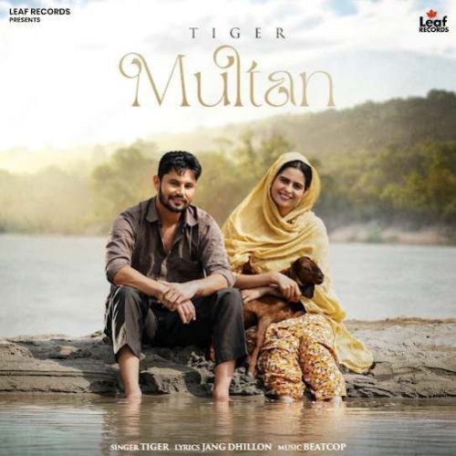 Multan Tiger Mp3 Song Free Download