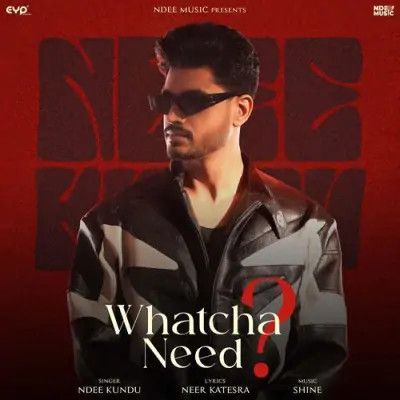 Whatcha Need Ndee Kundu Mp3 Song Free Download