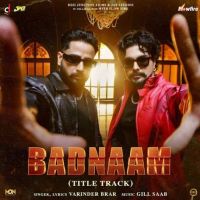 Badnaam Varinder Brar Mp3 Song Free Download