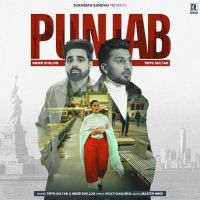 Punjab Tippu Sultan, Inder Dhillon Mp3 Song Free Download