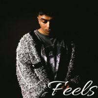 Feels Gurinder Gill Mp3 Song Free Download