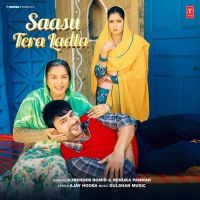 Saasu Tera Ladla Surender Romio, Renuka Panwar Mp3 Song Free Download