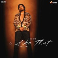 I Like That Jigar Mp3 Song Free Download