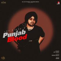 Punjab Blood Jot Sidhu Mp3 Song Free Download
