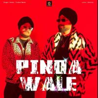 Pinda Wale Turban Beats Mp3 Song Free Download