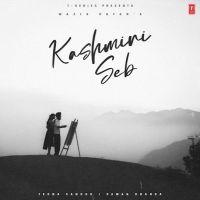 Kashmiri Seb Wazir Patar Mp3 Song Free Download