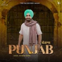 Punjab Ravinder Grewal Mp3 Song Free Download