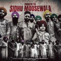 Tribute To Sidhu Moosewala Emiway Bantai, Sidhu Moosewala Mp3 Song Free Download
