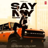Say My Name Satkar Sandhu Mp3 Song Free Download