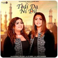 Todi Da Ni Dil Hashmat Sultana Mp3 Song Free Download